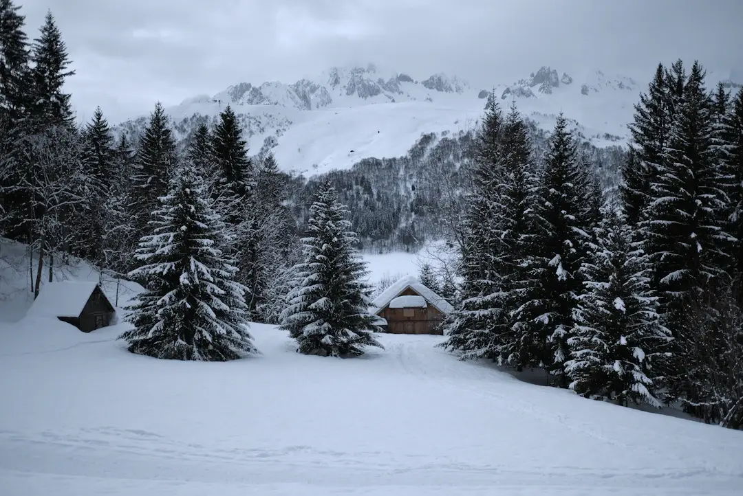 Transfert Genève Chamonix