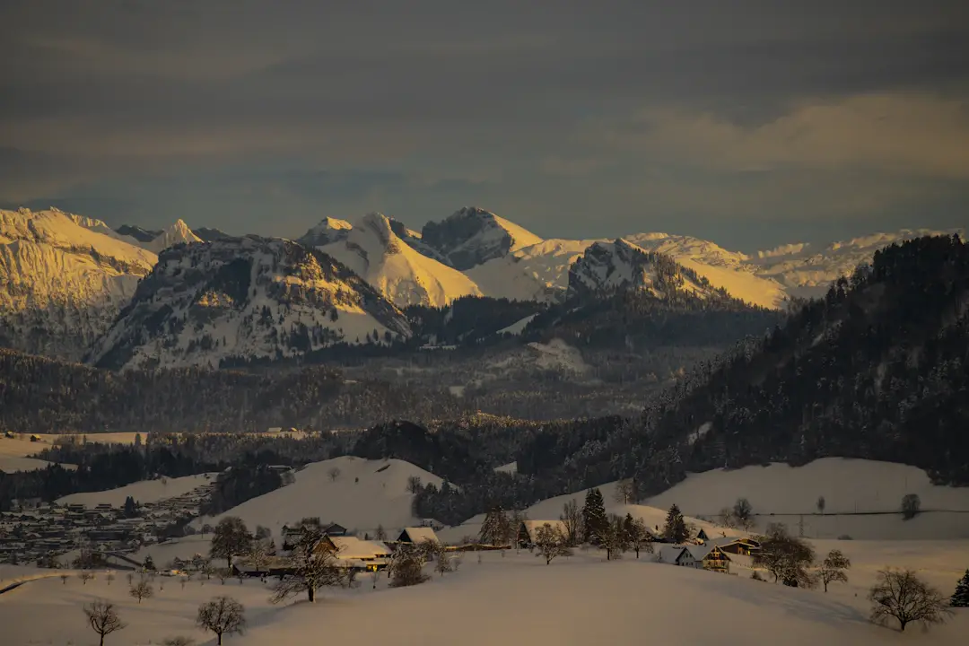 Geneva Transfer - Reservation